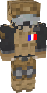 militaire skin mc