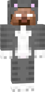 cat herobrine