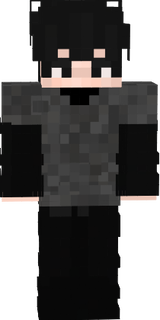 skin principal