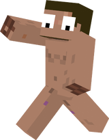 fw