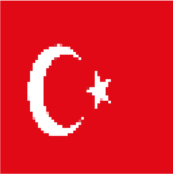 Preview of texture: turkey