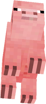 pig