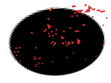 bloody shadow