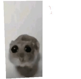 Preview of texture: idk