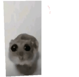 idk
