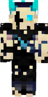 Warden Knight