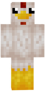 CHICKEWN arrival