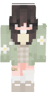 skin minecraft
