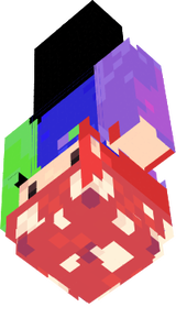 shin