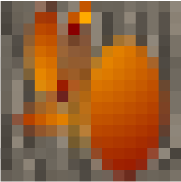 Preview of texture: acacia_bark-