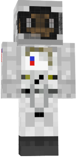 Macaco Astronauta