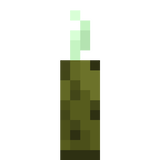 bamboo