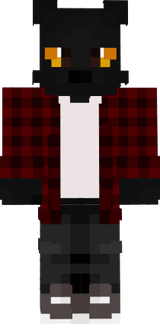 cityskin