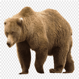 hhh