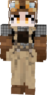 skin