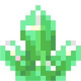kelp
