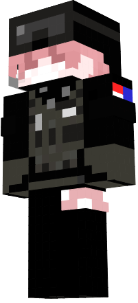Preview of texture: swat pinky
