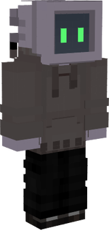 computer