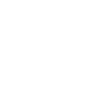 cobweb