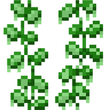 slimy_vine