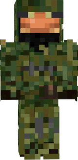 Toad-in-camouflage