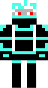 Skin 1