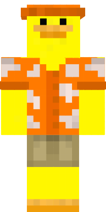 Preview of texture: duck