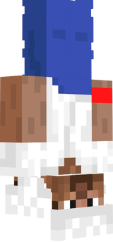 memes
