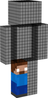 steve