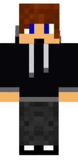 mi skin v2