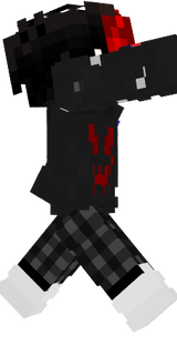 hode armor
