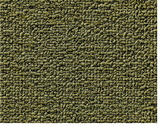 birch_planks