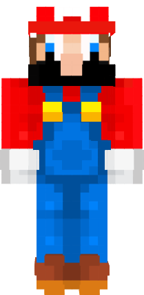 Preview of texture: mario memis