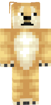 Preview of texture: doge