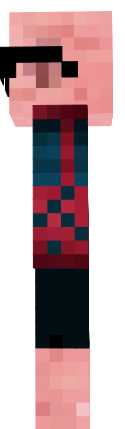 Preview of texture: noel