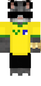 King YT gato brasileiro 