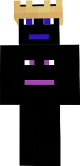 skin principal