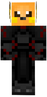 RaichuConexion