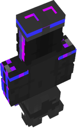 www