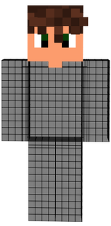 V2cabecamulesta
