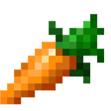 carrot