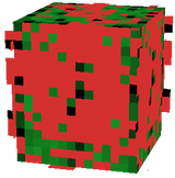 Kaktus