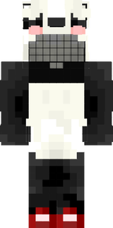 Vestimenta 