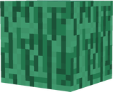 acacia