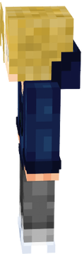 ski n