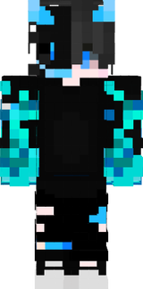 skin1