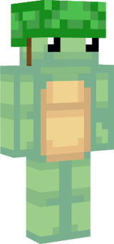 tutle
