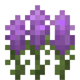 Better Allium