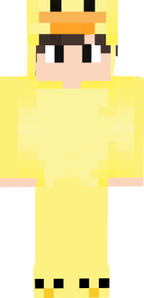 duck 