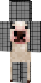perro